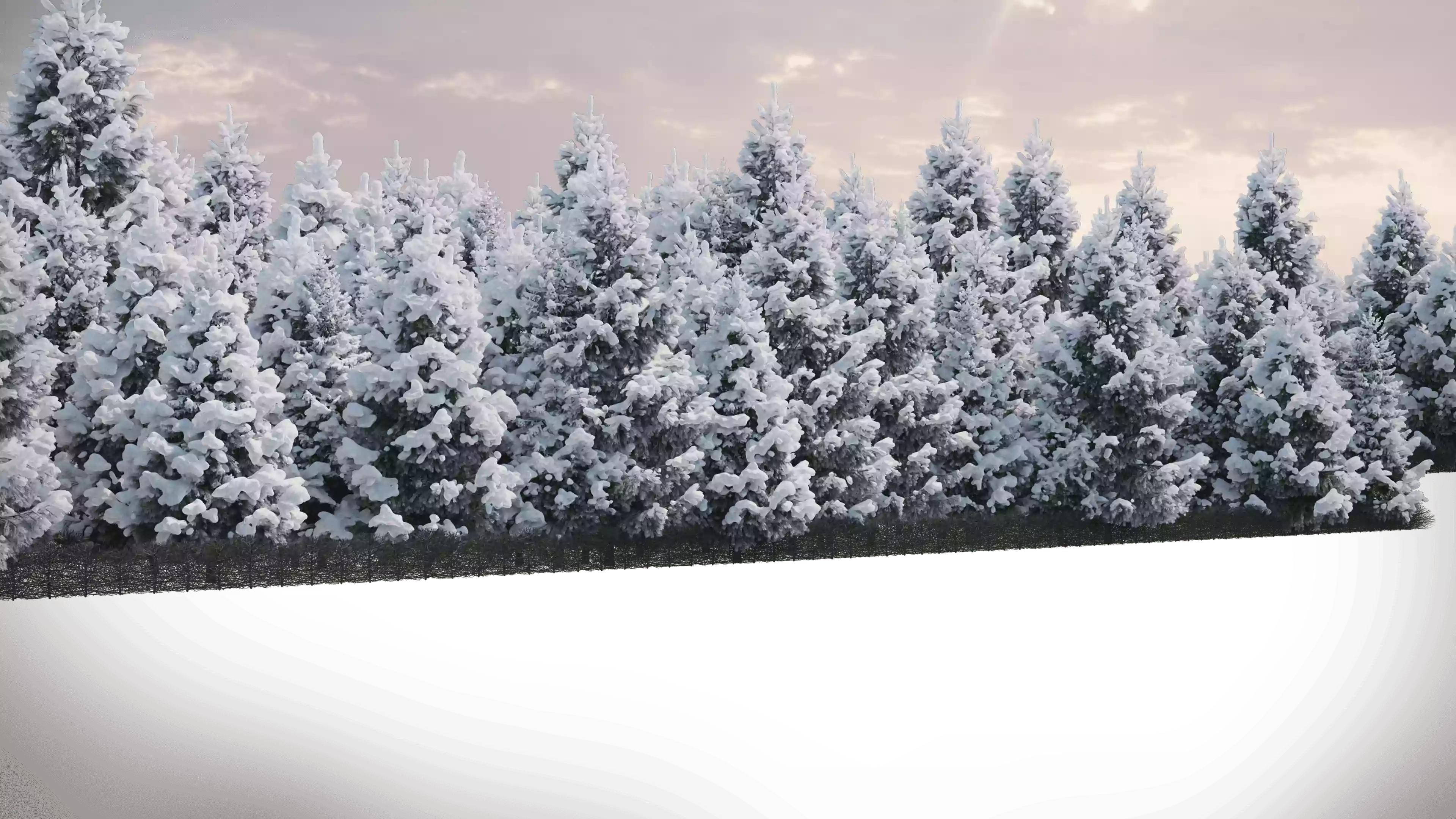 Фон wood winter